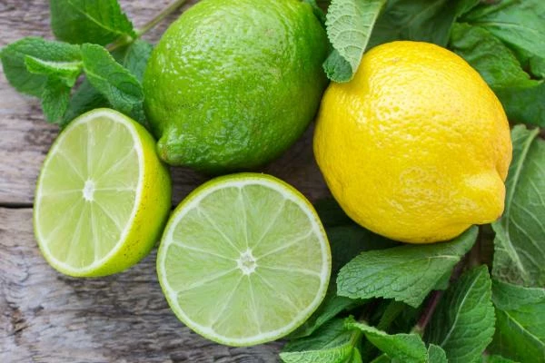 Qatar's Import of Lemon and Lime Sees Significant Decline to $14M in 2023